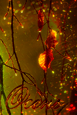 Золотая осень - дождь