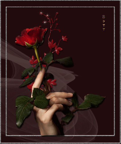 Девушка держит красную розу