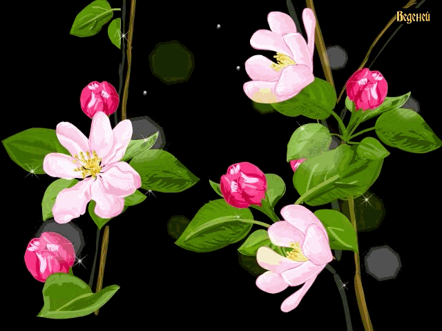 Анимированные цветы в картинках