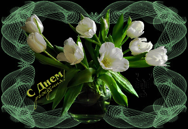 С Днем Рождения с изображением тюльпанов