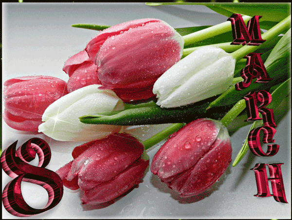 С 8 марта красно белые тюльпаны Открытки с 8 марта