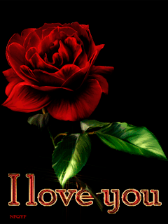 Роза и сердечки С 14 Февраля валентинки
