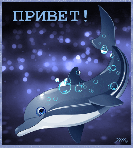Привет от дильфина Приветствие в картинках