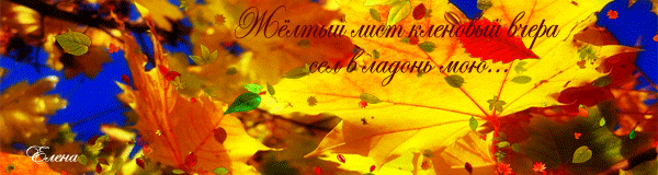 Кленовый осенний лист Картинки про осень