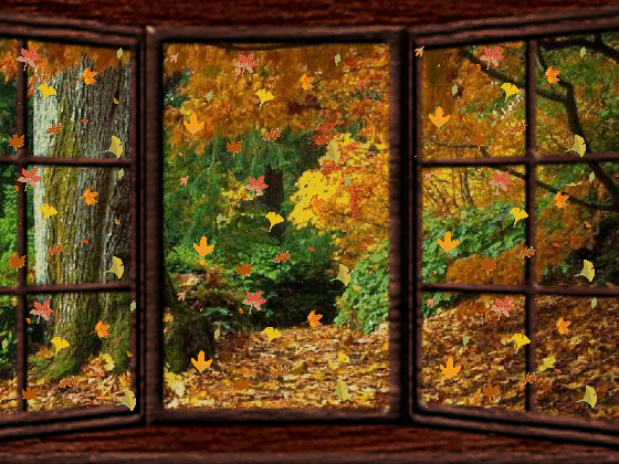 Осень за окном - Картинки про осень - анимированные картинки