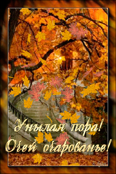 Осень картинки Картинки про осень