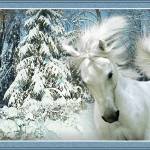 Белая лошадь зимой