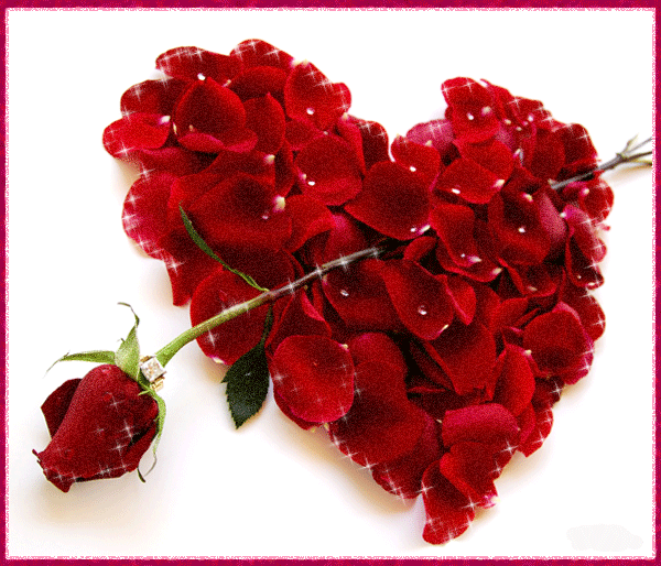 Сердце из лепестков роз Красивые цветы