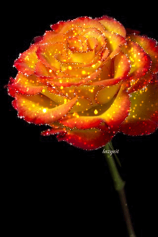 Магическая роза анимация Красивые цветы