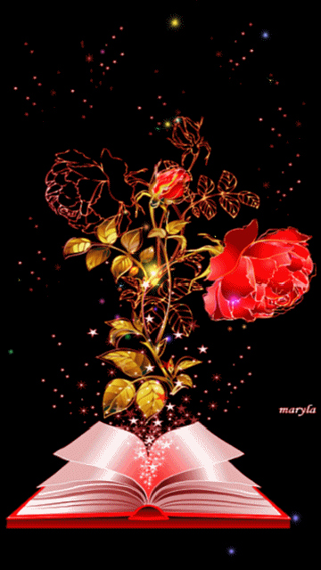 Роза с книгой Красивые цветы