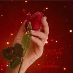 Бутон розы в руке тебе