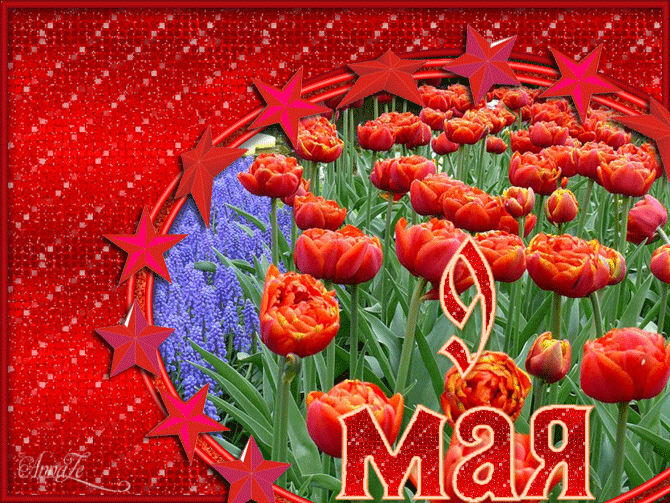 9 мая картинка с тюльпанами 9 мая День Победы