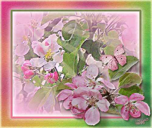 Весеннее цветение Весна картинки