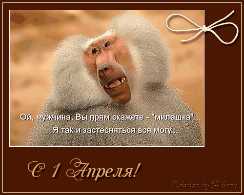 Смешная обезьяна с лицом женщины 1 апреля день смеха