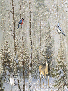 Зимний лес Картинки на телефон
