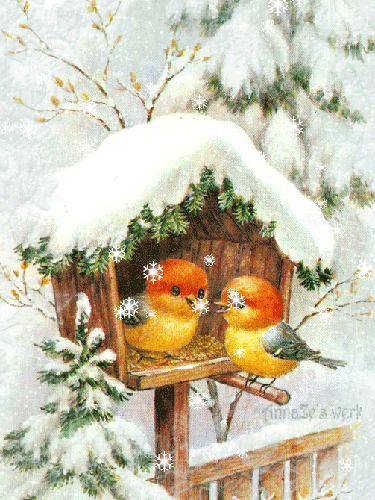 Птички зимой Детские картинки