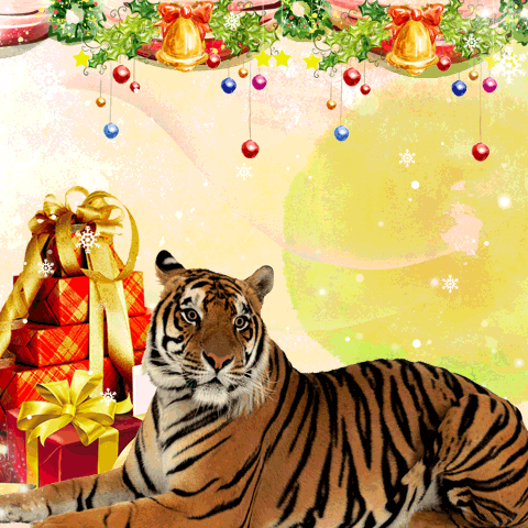 С Новым годом Тигра! Картинки с Новым годом 2023