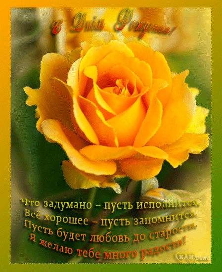 Роза ко дню рождения С Днем Рождения открытки
