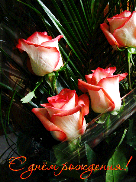 Открытка с розами С Днем Рождения открытки