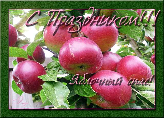 Открытка к празднику яблочный спас Яблочный Спас - Преображение Господне
